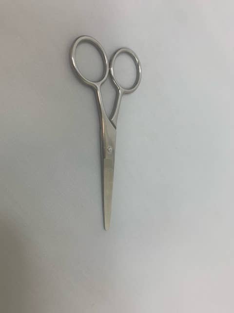 GBS GBS - BEARD NOSE MUSTACHE EYEBROWS SCISSORS 4" STAINLESS STEEL