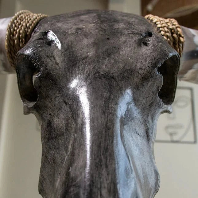 Skull Bliss Skull Longhorn Skull - Grey Storm