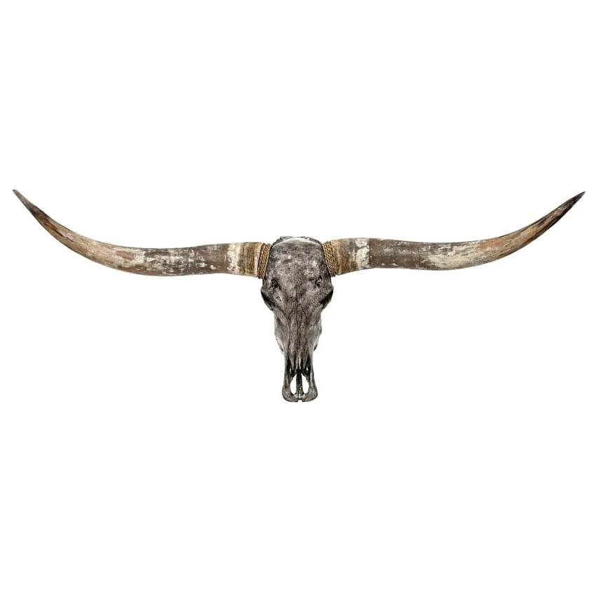 Skull Bliss Skull Longhorn Skull - Grey Storm