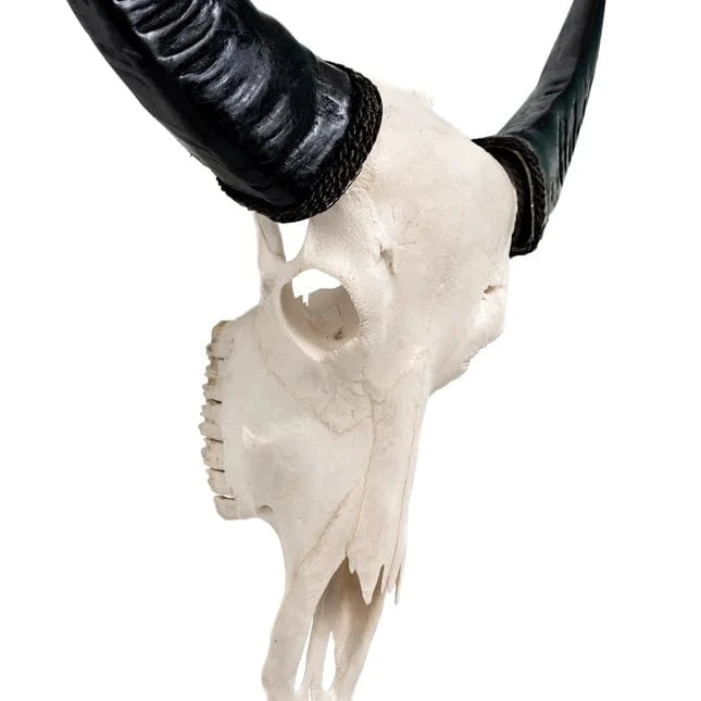 Skull Bliss Skull White Storm - Buffalo Skull Bliss
