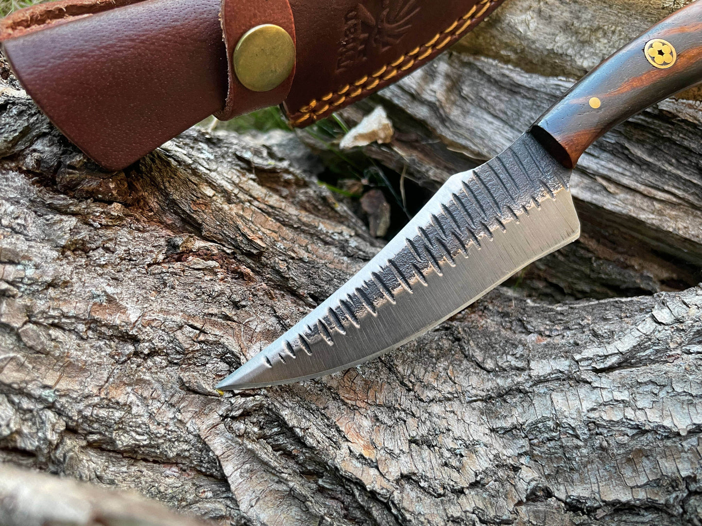 Titan International Titan International - TC-055 Carbon steel Black Walnut wood scales