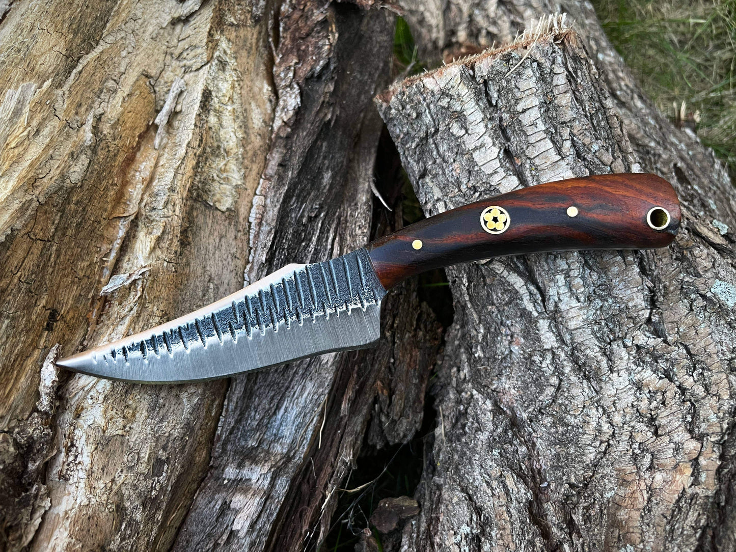 Titan International Titan International - TC-055 Carbon steel Black Walnut wood scales