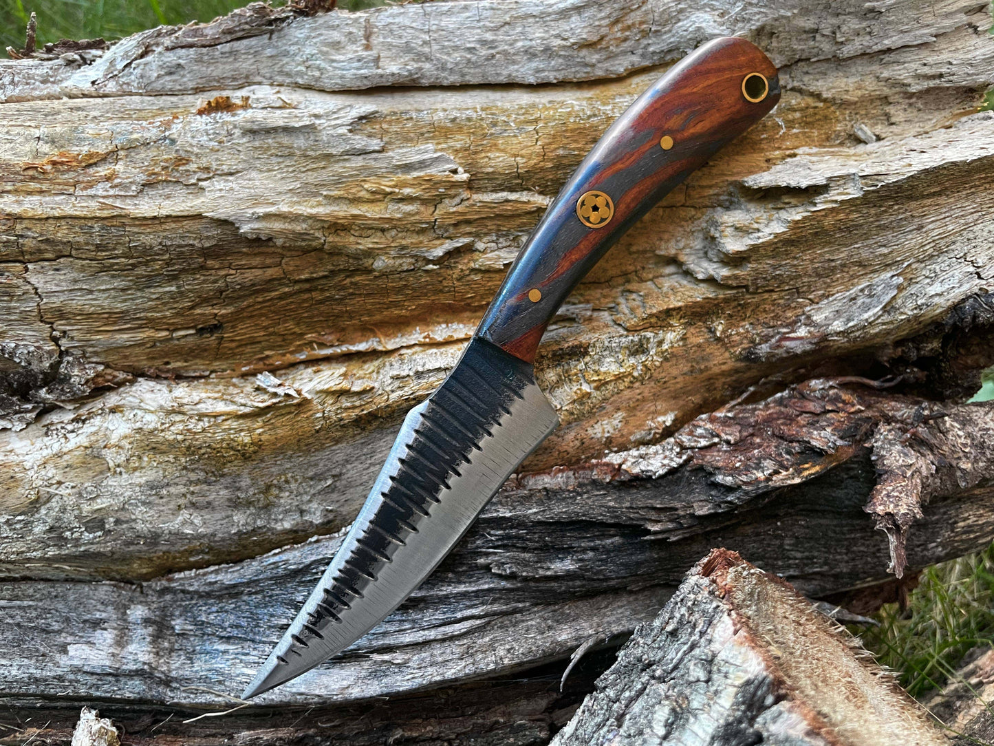 Titan International Titan International - TC-055 Carbon steel Black Walnut wood scales