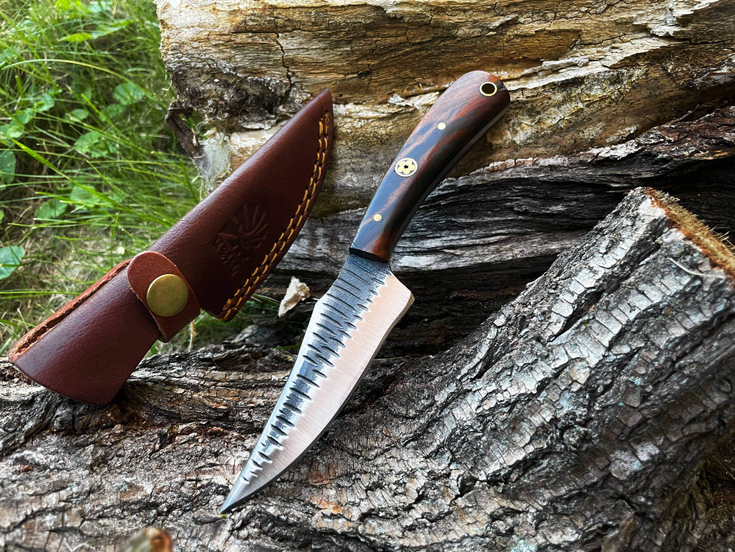 Titan International Titan International - TC-055 Carbon steel Black Walnut wood scales