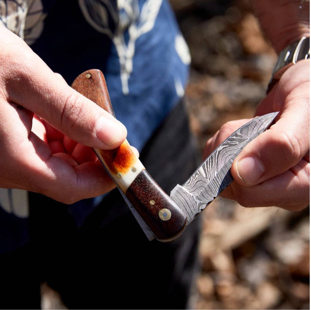 Titan International Titan International - Walnut & Torched Bone Damascus Pocket Knife