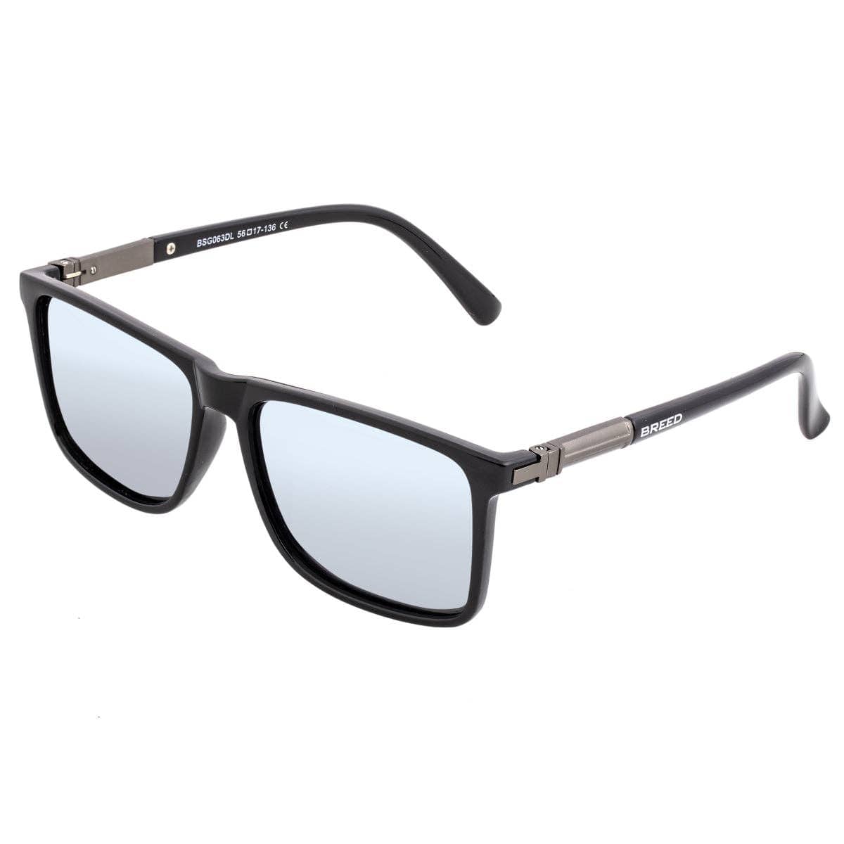 Breed Breed - Breed Caelum Acetate Polarized Wayfarer Sunglasses: Black/Silver