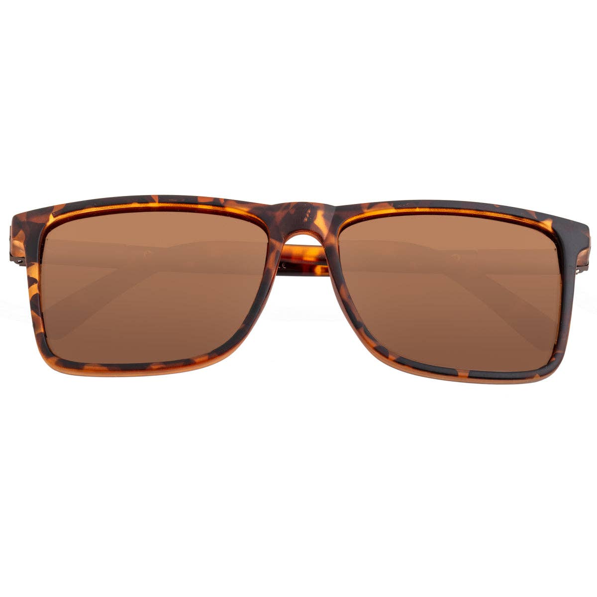 Breed Breed - Breed Caelum Acetate Polarized Wayfarer Sunglasses: Tortoise/Brown