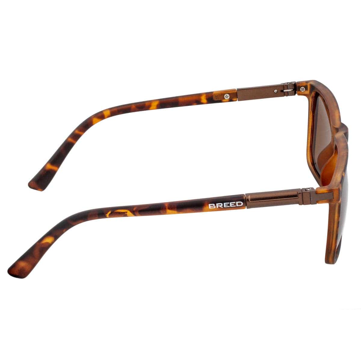 Breed Breed - Breed Caelum Acetate Polarized Wayfarer Sunglasses: Tortoise/Brown