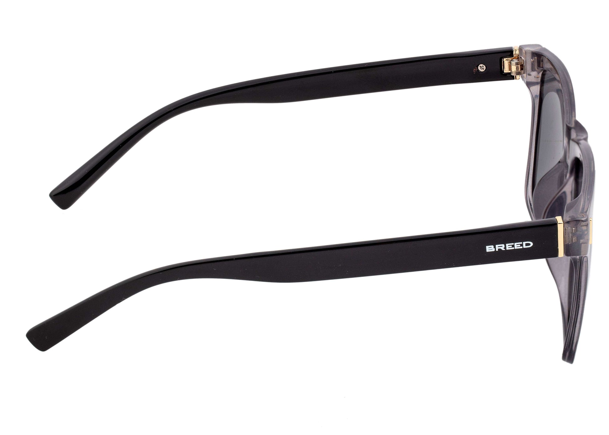 Breed Breed - Breed Pictor TR90 Polarized Wayfarer Sunglasses: Brown/Black