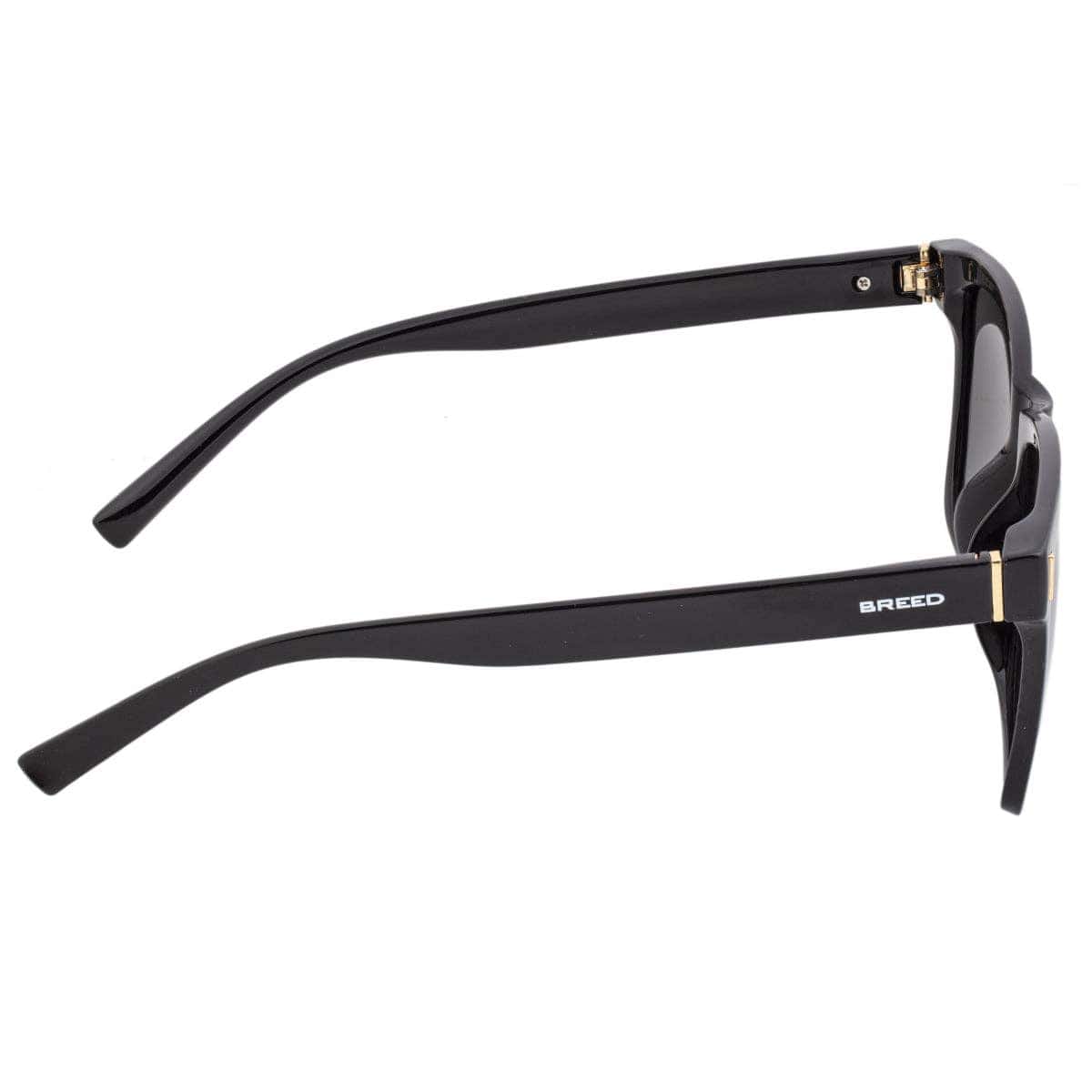 Breed Breed - Breed Pictor TR90 Polarized Wayfarer Sunglasses: Brown/Black