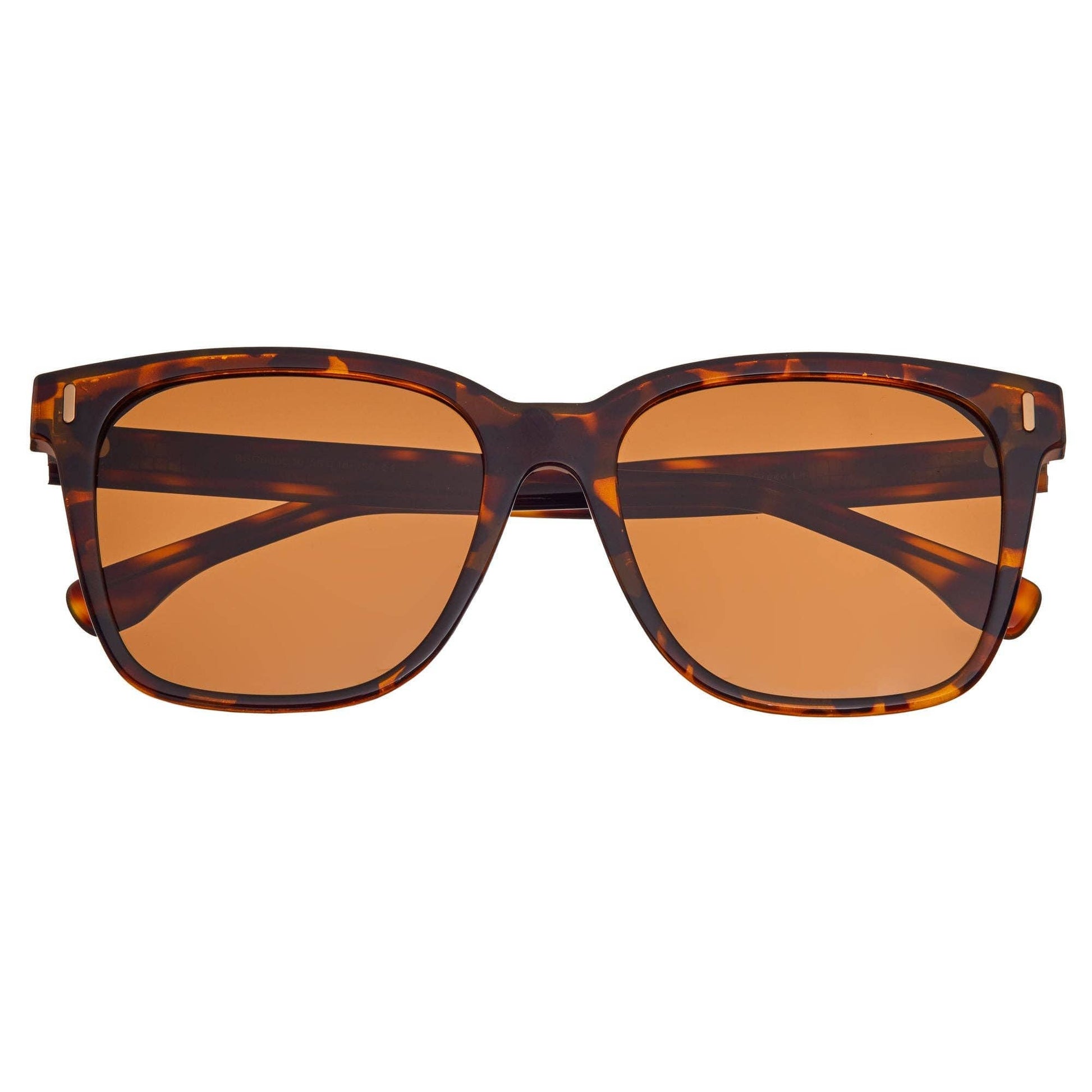 Breed Men's Sunglasses Breed Linux TR90 Polarized Wayfarer Sunglasses: Tortoise/Brown