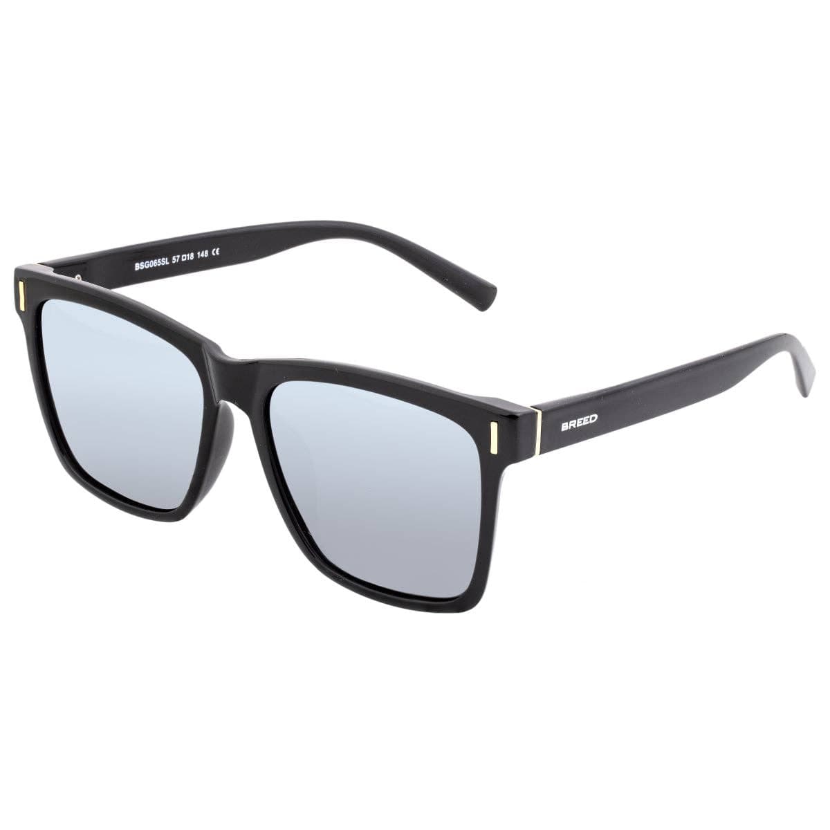 Breed Sunglasses Breed Pictor TR90 Polarized Wayfarer Sunglasses: Black/Silver