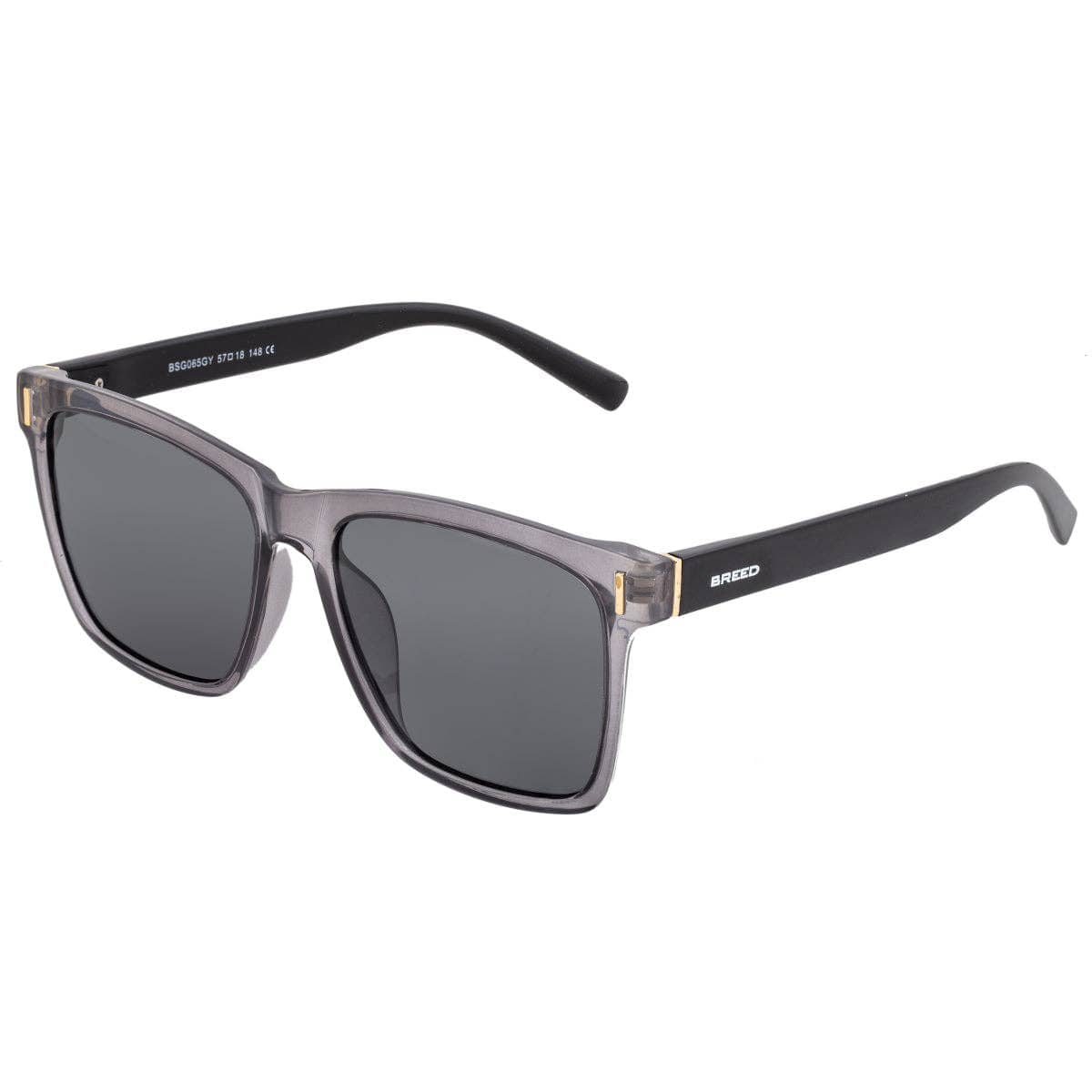 Breed Sunglasses Breed Pictor TR90 Polarized Wayfarer Sunglasses: Black/Silver