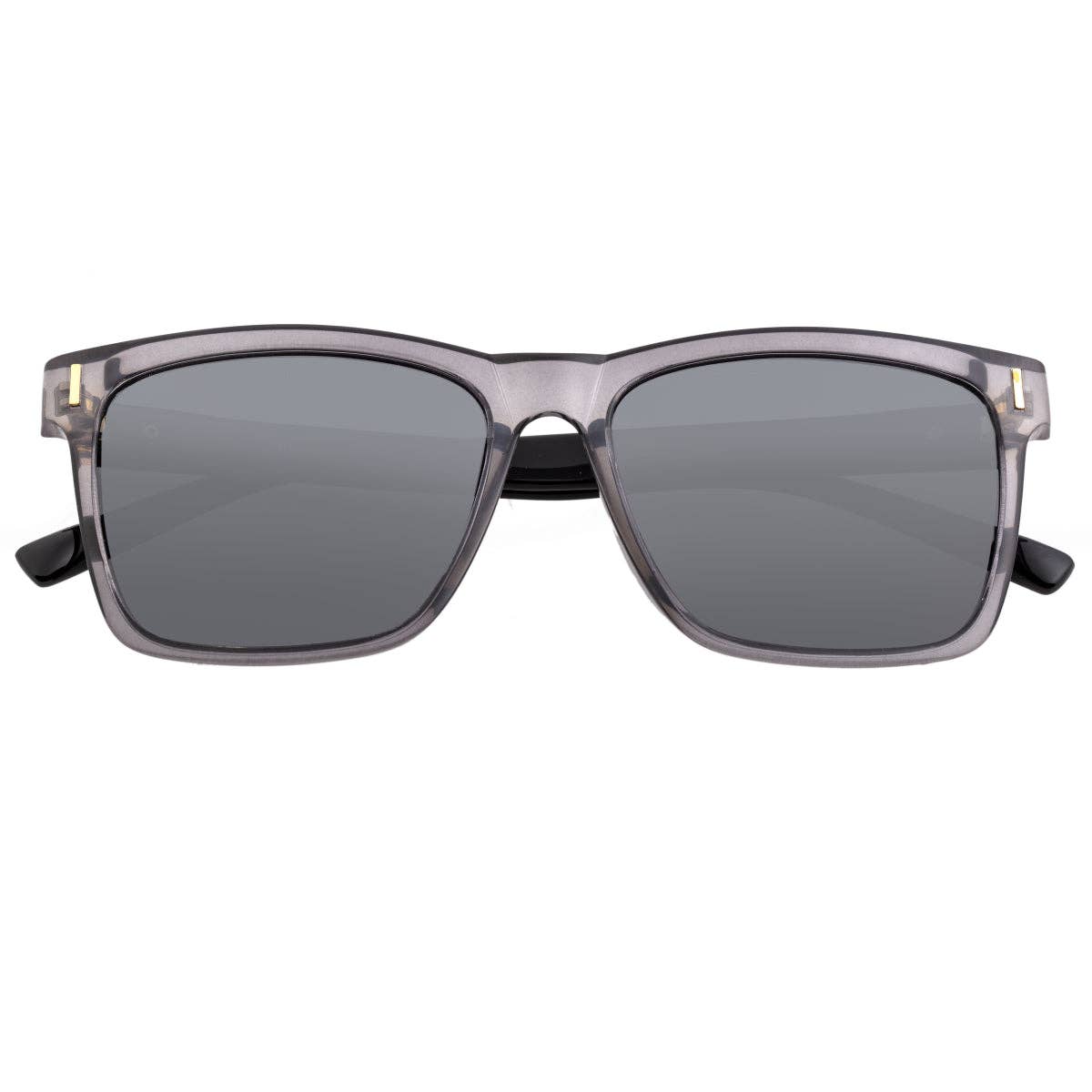 Breed Sunglasses Breed Pictor TR90 Polarized Wayfarer Sunglasses: Black/Silver