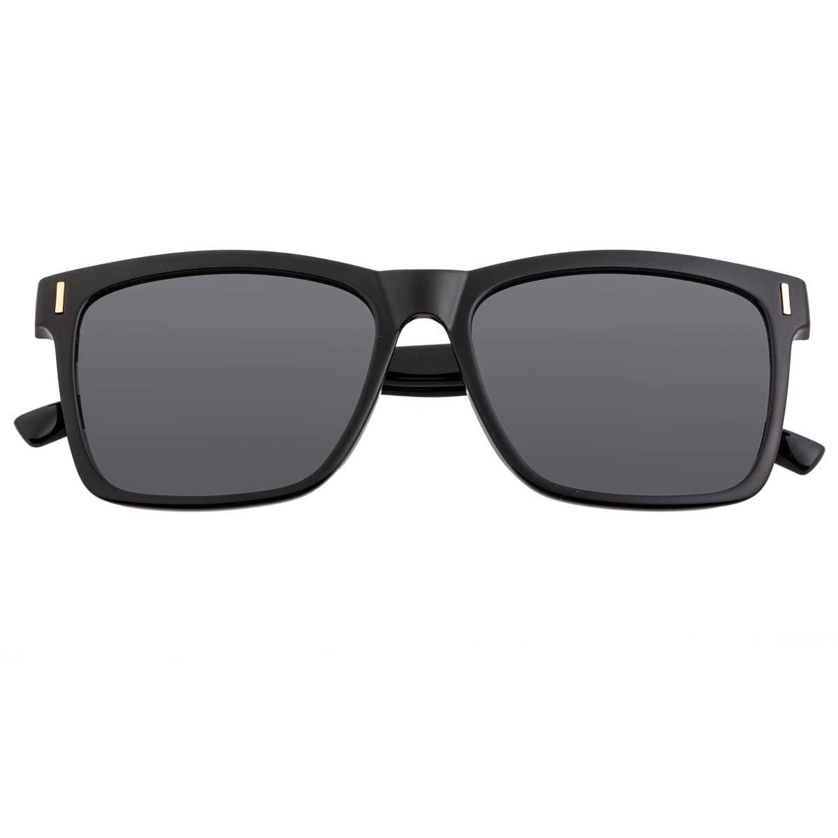 Breed Sunglasses Breed Pictor TR90 Polarized Wayfarer Sunglasses: Black/Silver