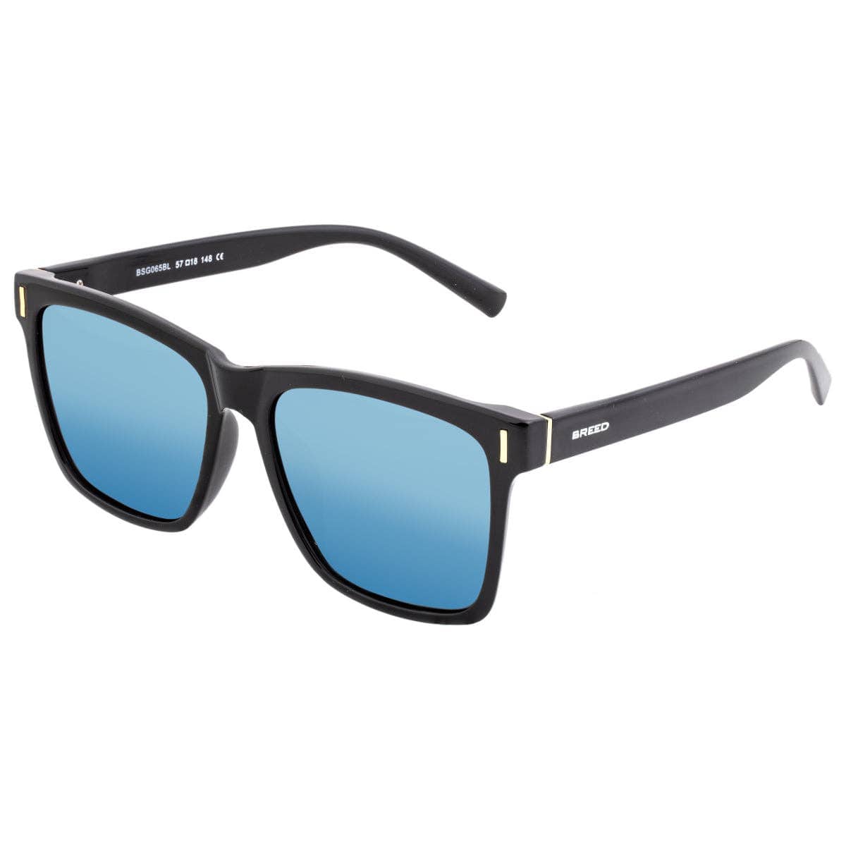 Breed Sunglasses Breed Pictor TR90 Polarized Wayfarer Sunglasses: Black/Silver