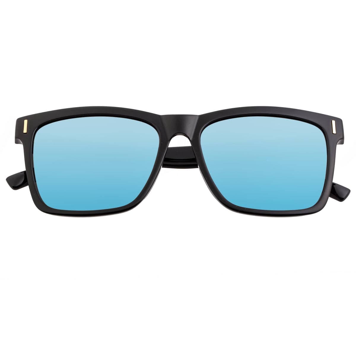 Breed Sunglasses Breed Pictor TR90 Polarized Wayfarer Sunglasses: Black/Silver