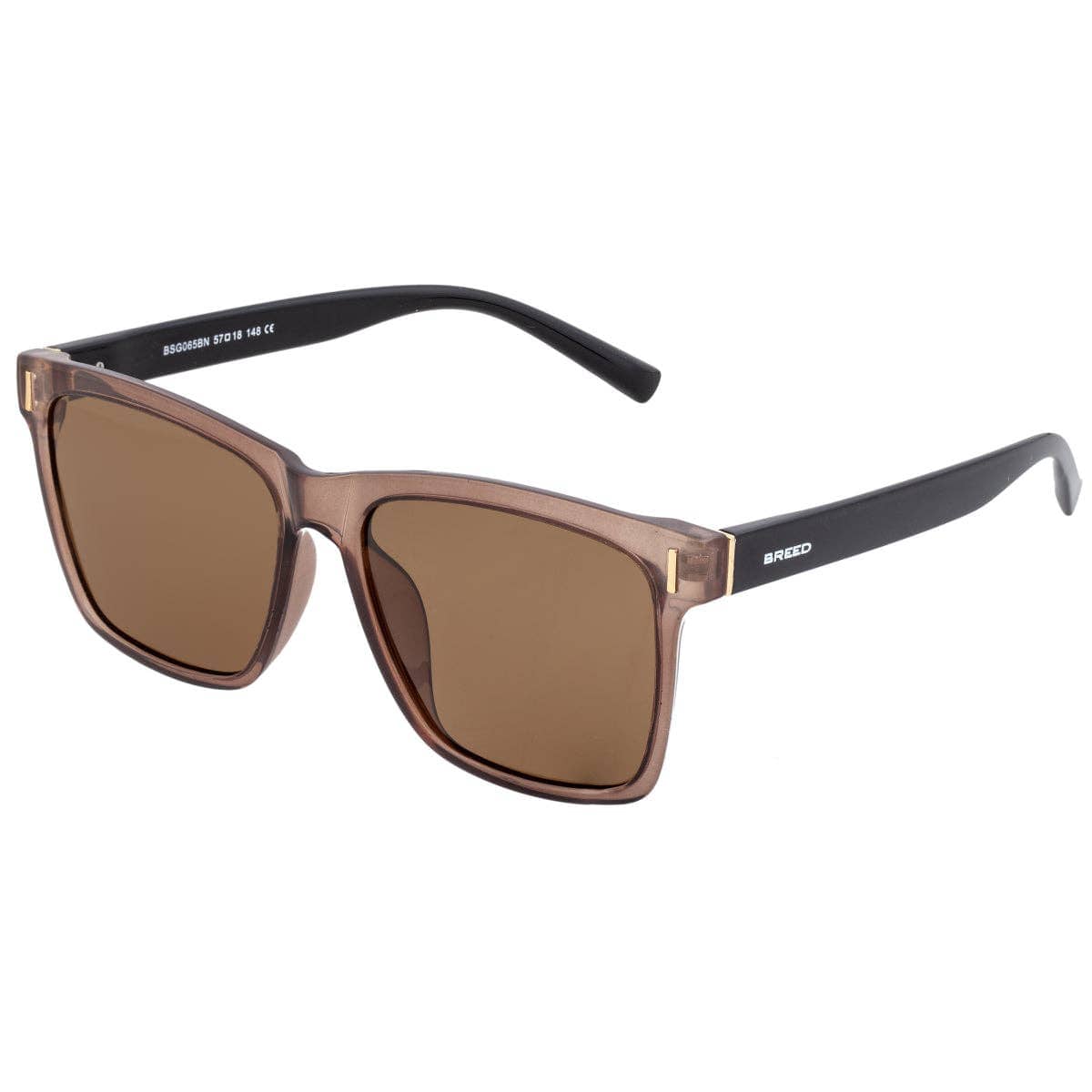 Breed Sunglasses Breed Pictor TR90 Polarized Wayfarer Sunglasses: Black/Silver