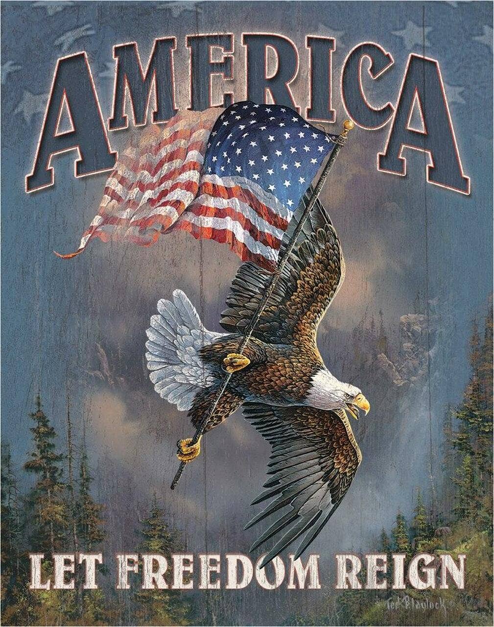 Desperate Enterprises Desperate Enterprises - America - Let Freedom Reign Tin Sign