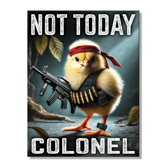 Desperate Enterprises Desperate Enterprises - SH - Not Today Colonel 8.25in. x 10.75in. Tin Sign