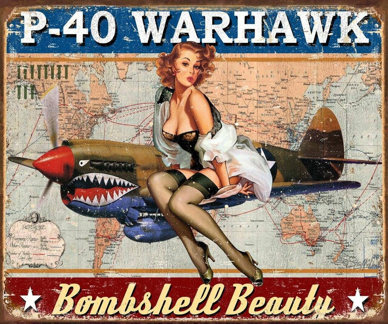 Desperate Enterprises Desperate Enterprises - Warhawk Tin Sign