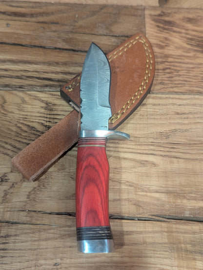 El Matador Knives Damascus Knife Red Handle - Small Damascus Skinner