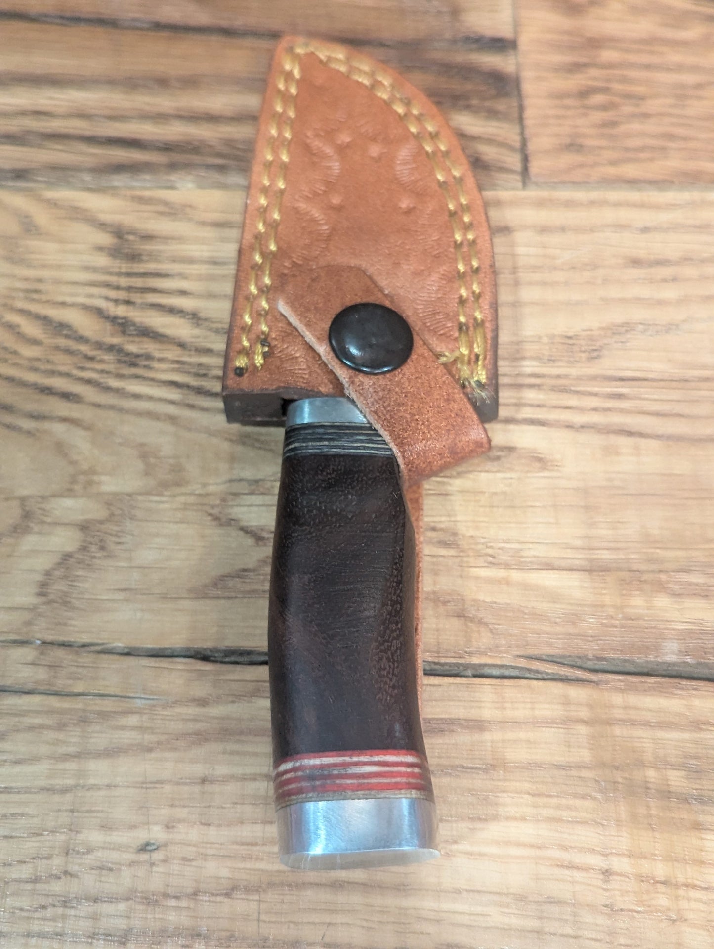 El Matador Knives Damascus Knife Walnut Handle with Assorted Accent Colors - Small Damascus Skinner