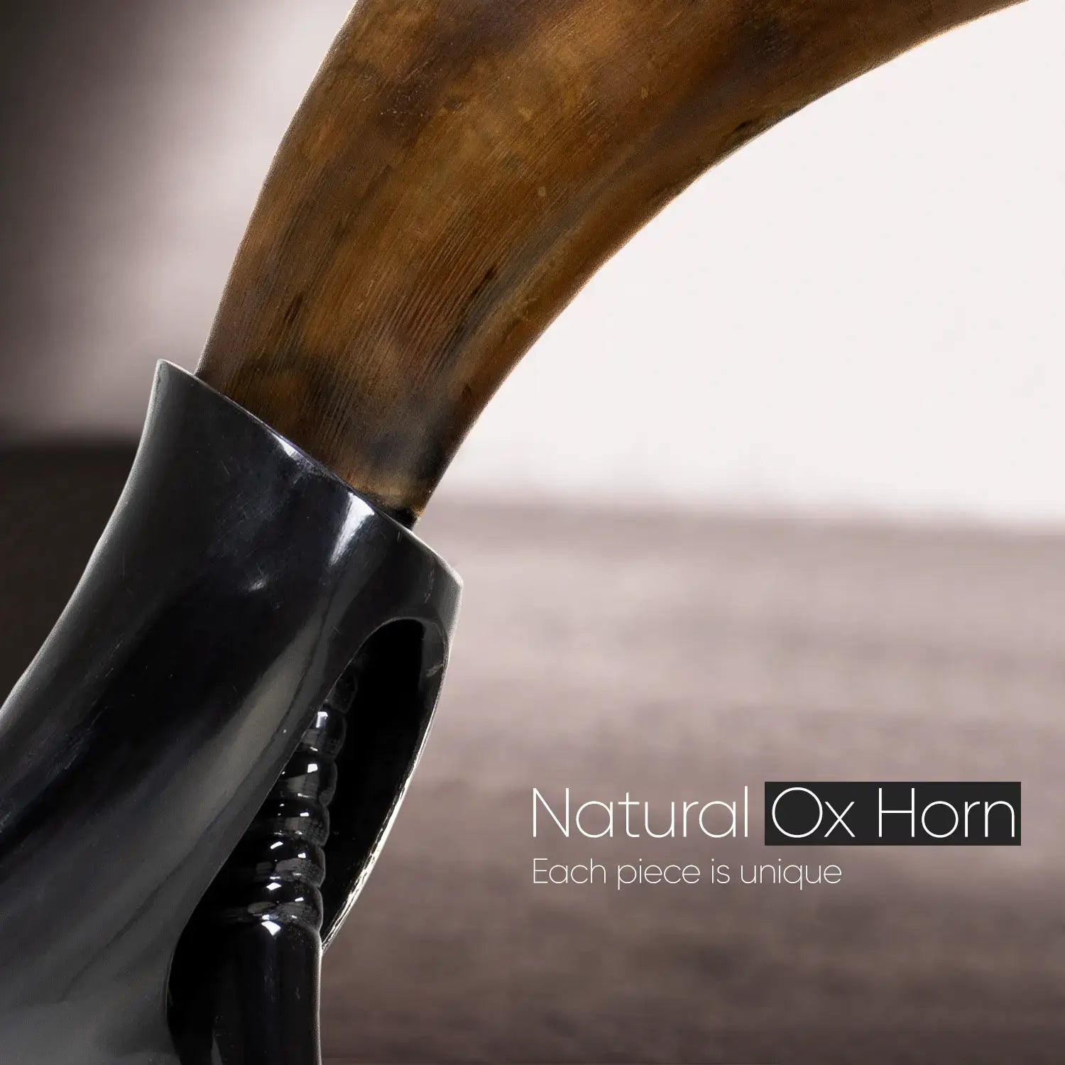 Handicrafts Home Handicrafts Home - Real Ox Horn Drinking Horn with Stand 16 oz Beer Mug Gift