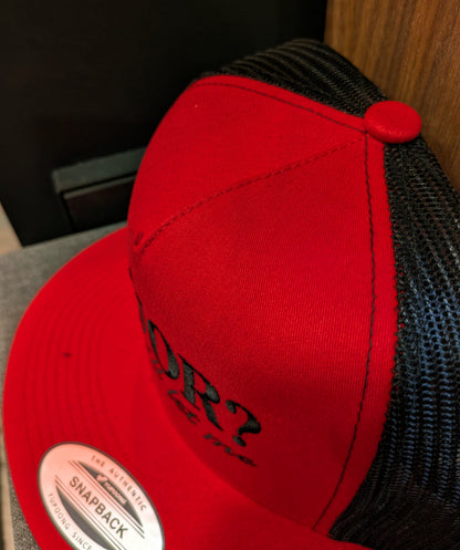 Pitcher Perfect hats Liquor? ya, if she'll let me. - Snapback hat