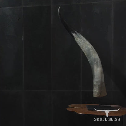 Buffalo Horn - Dewi