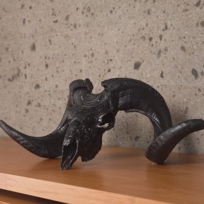 Hand Carved Ram Skull - Black Phoenix