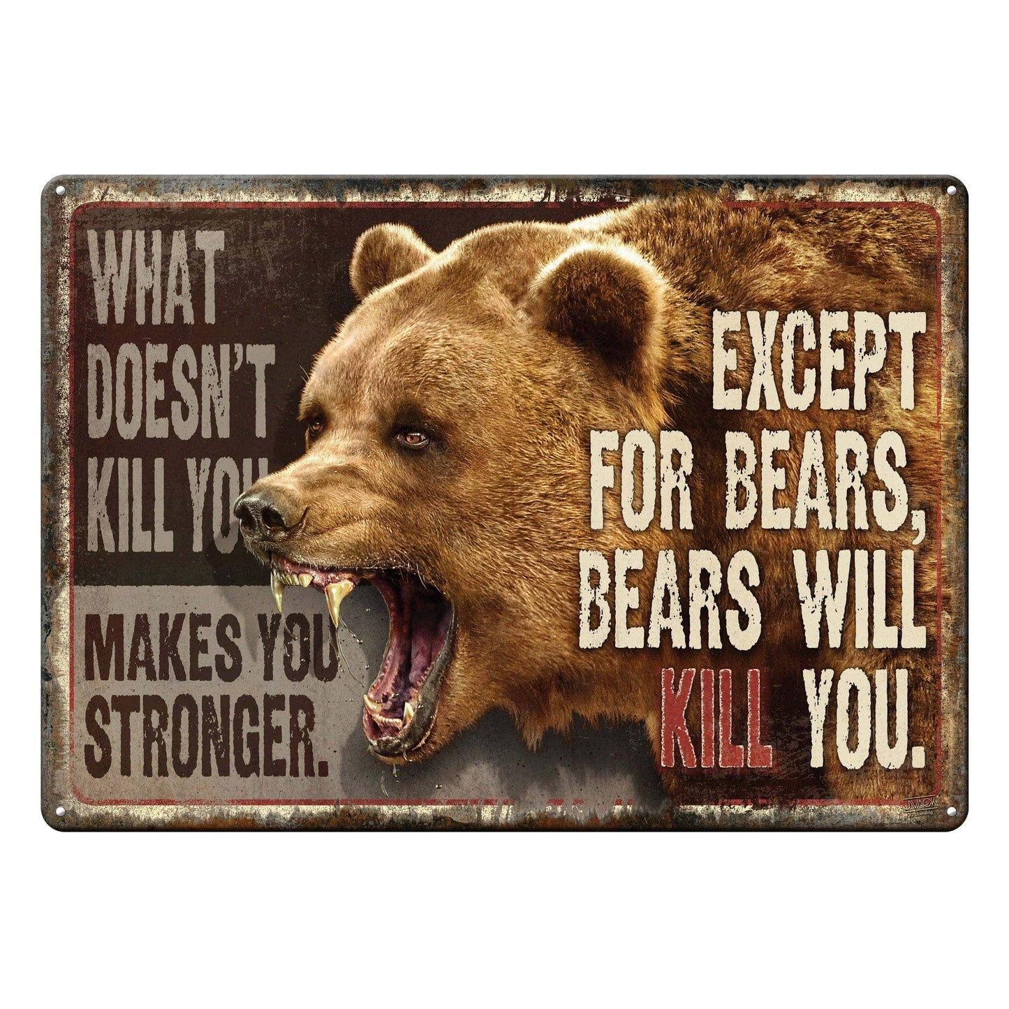 Rivers Edge Products Rivers Edge Products - Tin Sign 12in x 17in-What Doesnt Kill You
