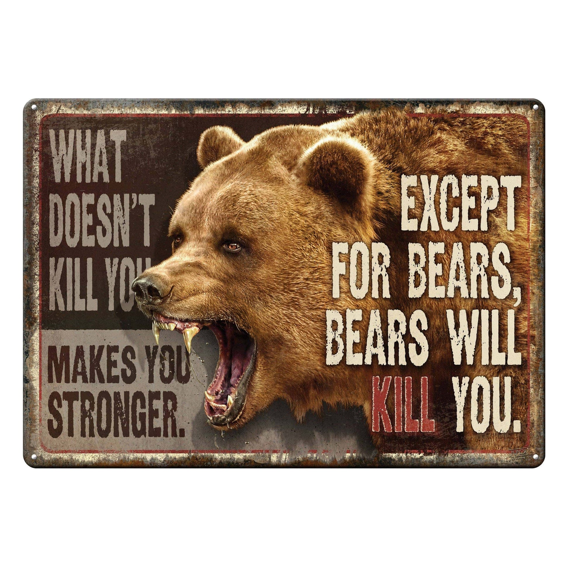 Rivers Edge Products Rivers Edge Products - Tin Sign 12in x 17in-What Doesnt Kill You