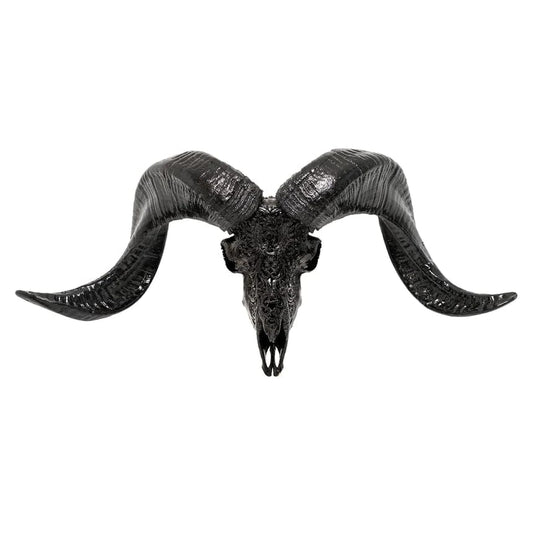 Skull Bliss Skull Hand Carved Ram Skull - Black Phoenix