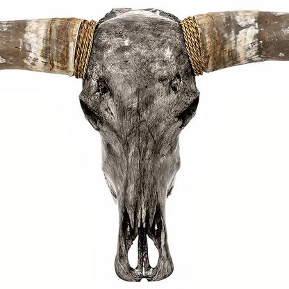 Skull Bliss Skull Longhorn Skull - Grey Storm