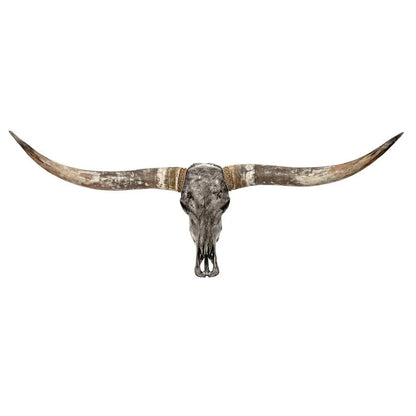 Skull Bliss Skull Longhorn Skull - Grey Storm