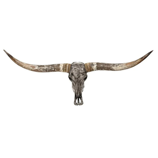 Skull Bliss Skull Longhorn Skull - Grey Storm