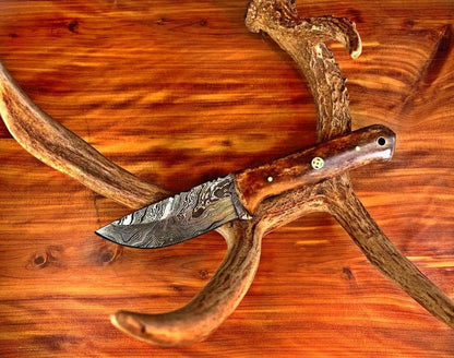 Titan International Titan International - Damascus Knife, Custom Hand Made Forged Damascus Steel Hunting Knife Fixed Blade Camp Style Handle With Leather Sheath Full Tang TD-238