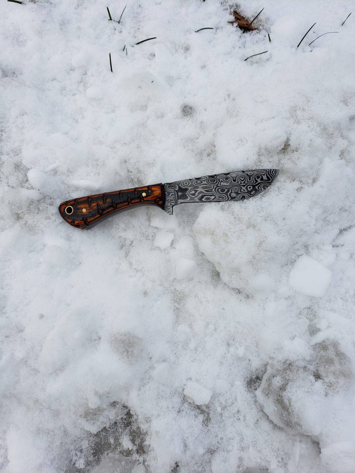 Titan International Titan International - Damascus Knife perfect Utility Neck Knife TD-239