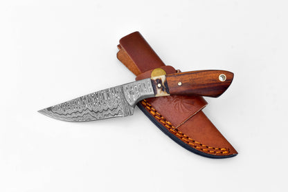 Titan International Titan International - Damascus Steel Timberline Stag Horn EDC Knife by Titan TK-119