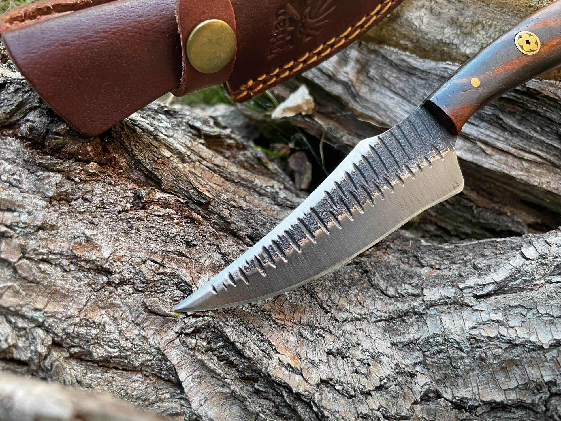 Titan International Titan International - TC-055 Carbon steel Black Walnut wood scales