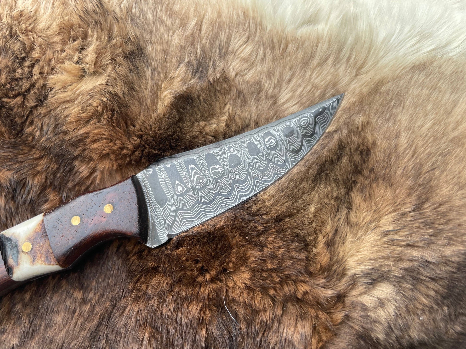 Titan International Titan TK-060 Damascus Steel Skinner Knife with Rosewood & Stag Grip