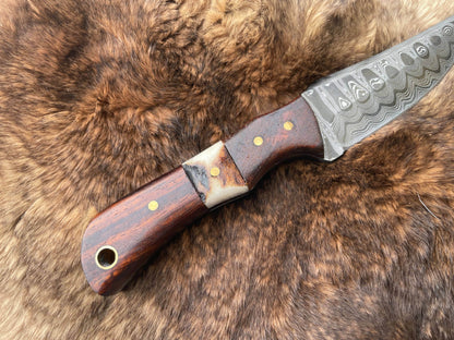 Titan International Titan TK-060 Damascus Steel Skinner Knife with Rosewood & Stag Grip